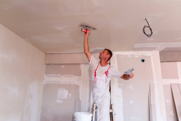 Best Eco-Friendly and Low-VOC Painting  in Mansfield, TX